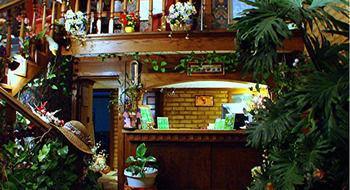 Edelweiss Inn And Suites نيو بروانفيلز المظهر الخارجي الصورة