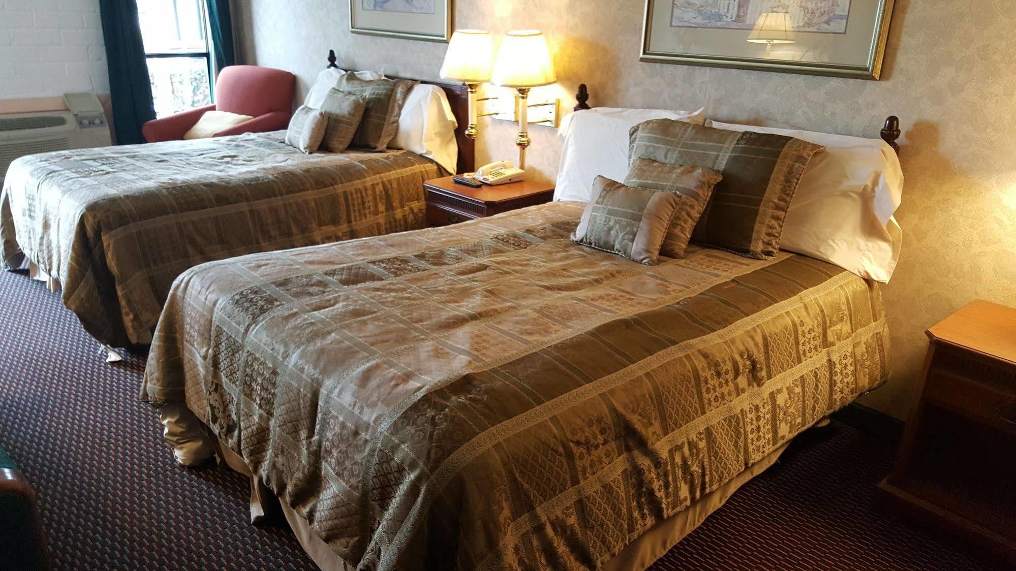 Edelweiss Inn And Suites نيو بروانفيلز المظهر الخارجي الصورة