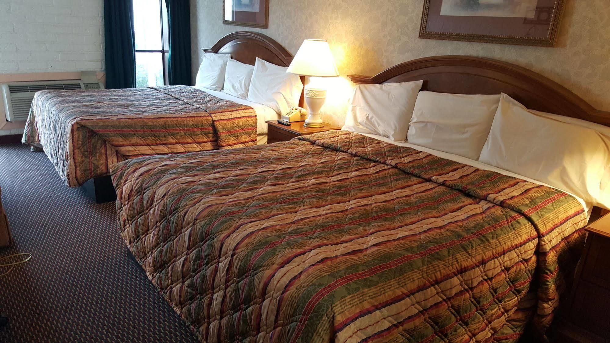 Edelweiss Inn And Suites نيو بروانفيلز المظهر الخارجي الصورة